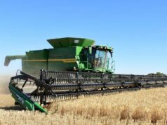 Estes produtores de cereais prepararam-se para uma colheita difícil: será que acertaram em cheio? Estes produtores de cereais prepararam-se para uma colheita difícil: será que acertaram em cheio?