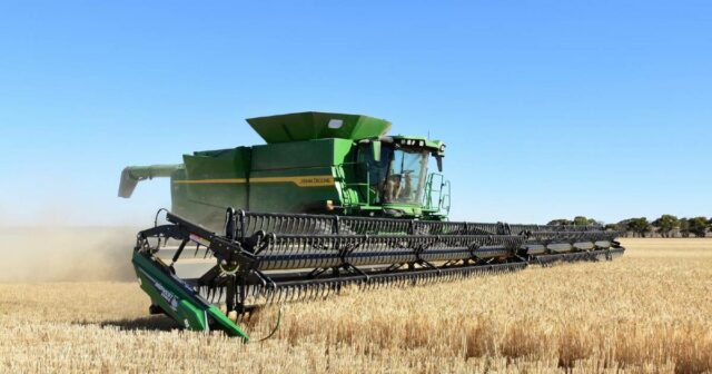 Estes produtores de cereais prepararam-se para uma colheita difícil: será que acertaram em cheio?
