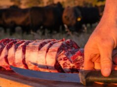 Estes são os três grandes fatores que moldarão a indústria da carne bovina em 2026 Estes são os três grandes fatores que moldarão a indústria da carne bovina em 2026