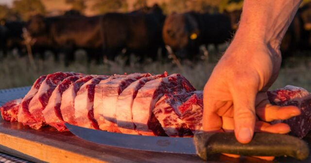 Estes são os três grandes fatores que moldarão a indústria da carne bovina em 2026
