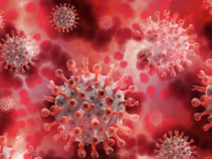 Estudo AIIMS: Nenhuma ligação entre as vacinas COVID-19 e mortes súbitas em adultos jovens Estudo AIIMS: Nenhuma ligação entre as vacinas COVID-19 e mortes súbitas em adultos jovens