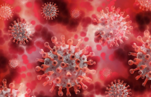 Estudo AIIMS: Nenhuma ligação entre as vacinas COVID-19 e mortes súbitas em adultos jovens Estudo AIIMS: Nenhuma ligação entre as vacinas COVID-19 e mortes súbitas em adultos jovens