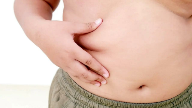 Estudo: Baixos níveis de colina em jovens adultos obesos podem aumentar o risco de Alzheimer
