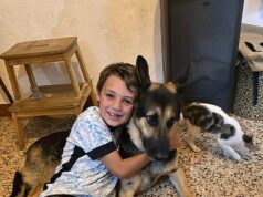 Eu também queria ter sido levada, diz mãe de menino britânico, de 13 anos, morto a facadas pelo ex-companheiro em Portugal Alfie Hallett, de 13 anos, foi morto na terça-feira por Gonçalo Carvalho, de 43 anos, na sua casa em Casais, na região de Tomar, em Portugal.