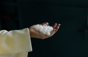 Everbloom construiu uma IA para transformar penas de galinha em caxemira A hand holds white fibers.