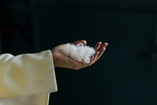 Everbloom construiu uma IA para transformar penas de galinha em A hand holds white fibers.