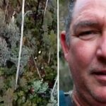 Ex-piloto vence recurso e novo julgamento é ordenado por mortes de campistas