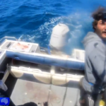 'Experiência incrível' quando o grande tubarão branco foi capturado em Barwon Heads