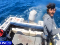 ‘Experiência incrível’ quando o grande tubarão branco foi capturado em Barwon Heads 'Experiência incrível' quando o grande tubarão branco foi capturado em Barwon Heads