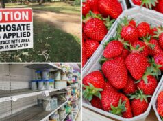 Fantasmas do passado agrícola: 10 escândalos que definiram a agricultura australiana Fantasmas do passado agrícola: 10 escândalos que definiram a agricultura australiana