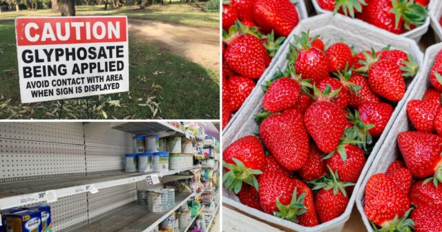 Fantasmas do passado agrícola: 10 escândalos que definiram a agricultura Fantasmas do passado agrícola: 10 escândalos que definiram a agricultura australiana