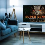 Fãs de documentários podem adquirir MagellanTV por apenas US$ 140