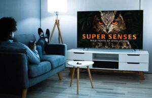 Fãs de documentários podem adquirir MagellanTV por apenas US$ 140 Fãs de documentários podem adquirir MagellanTV por apenas US$ 140