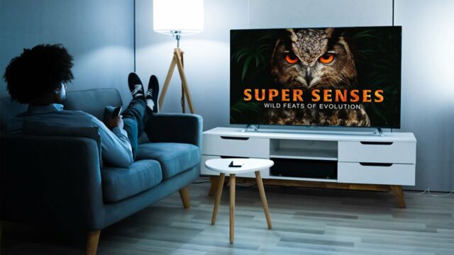 Fãs de documentários podem adquirir MagellanTV por apenas US$ 140
