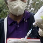 Febre aftosa, ameaça de pele protuberante se intensifica; o que está causando o risco