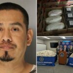 Federais prendem imigrante ilegal criminoso após apreender dezenas de milhões em metanfetamina escondida em amoras