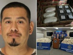 Federais prendem imigrante ilegal criminoso após apreender dezenas de milhões em metanfetamina escondida em amoras Federais prendem imigrante ilegal criminoso após apreender dezenas de milhões em metanfetamina escondida em amoras