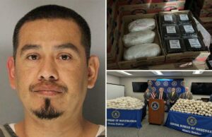 Federais prendem imigrante ilegal criminoso após apreender dezenas de milhões em metanfetamina escondida em amoras Federais prendem imigrante ilegal criminoso após apreender dezenas de milhões em metanfetamina escondida em amoras