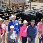 Forte demanda e ofertas de qualidade na promoção de novilhas Supreme Springing