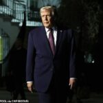 Foto de Donald Trump e mais de uma dúzia de outros arquivos de Epstein desaparecem misteriosamente depois de serem divulgados