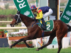 Fynbos supera mais de 1000 rivais da Guiné Fynbos supera mais de 1000 rivais da Guiné