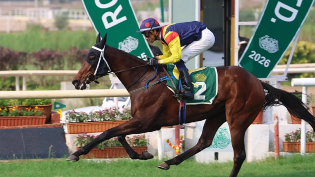 Fynbos supera mais de 1000 rivais da Guiné Fynbos supera mais de 1000 rivais da Guiné