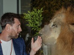 GOAT encontra Leão: Messi visita o centro de conservação da vida selvagem Vantara, chama-o de ‘genuinamente impressionante’ lightbox-info