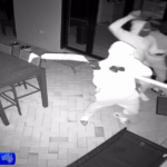 Gangue pula cerca e quebra porta para roubar dois BMWs na invasão de casa em Logan