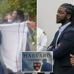 Harvard contrata graduado da Divinity School que enfrentou acusações de agressão contra um estudante israelense em um protesto