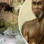 Hobbits pré-históricos desapareceram há 50 mil anos – agora sabemos por quê