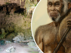 Hobbits pré-históricos desapareceram há 50 mil anos – agora sabemos por quê Hobbits pré-históricos desapareceram há 50 mil anos – agora sabemos por quê