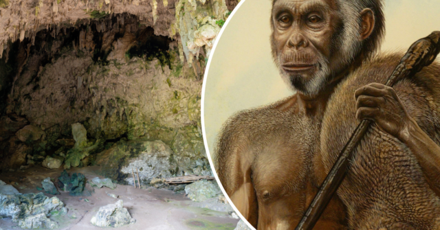 Hobbits pré-históricos desapareceram há 50 mil anos – agora sabemos Hobbits pré-históricos desapareceram há 50 mil anos – agora sabemos por quê