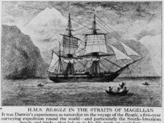 Hoje na História: 27 de dezembro, Charles Darwin inicia viagem mundial Hoje na História: 27 de dezembro, Charles Darwin inicia viagem mundial