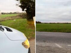 Homem dirigindo para casa vê algo branco na beira da estrada e então percebe o que é Cat found off road