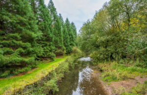 Homem enfrenta pena pesada depois que investigadores fazem uma descoberta chocante: ‘Um crime egoísta e nojento’ Yahoo news home