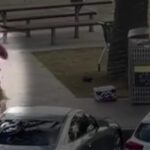 Gefen estava caminhando nas Montanhas Azuis no início do dia, antes de ir para Bondi para celebrar o Hanukkah.