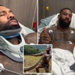 Influenciador da vida selvagem ‘feliz por estar vivo’ após grave acidente de paraquedismo: ‘Estou muito machucado’