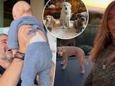 Jennifer Aniston compartilha um vislumbre das festividades de Natal com o namorado Jim Curtis Jennifer Aniston compartilha um vislumbre das festividades de Natal com o namorado Jim Curtis