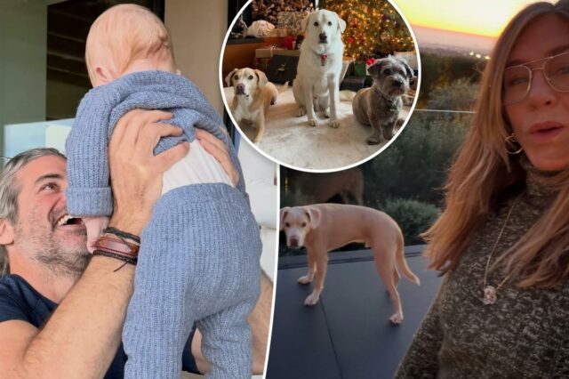 Jennifer Aniston compartilha um vislumbre das festividades de Natal com o namorado Jim Curtis
