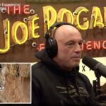 Joe Rogan usando fones de ouvido e um moletom sentado em frente a um letreiro de néon para