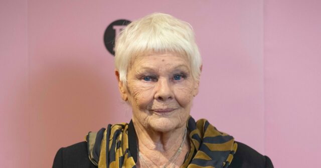 Judi Dench revela que ‘não consegue reconhecer ninguém’ em meio Judi Dench diz que 'se tornou impossível' para ela agir por causa da perda de visão