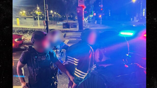 LAPD divulga fotos da prisão de Nick Reiner nos assassinatos reiner preso instagram 2