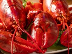 Lagosta avaliada em mais de US$ 590 mil em meio a onda de roubos de frutos do mar nos EUA Lagosta avaliada em mais de US$ 590 mil em meio a onda de roubos de frutos do mar nos EUA