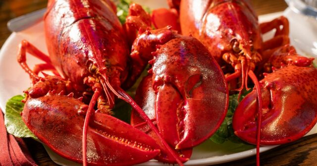Lagosta avaliada em mais de US$ 590 mil em meio a onda de roubos de frutos do mar nos EUA
