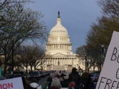 Legisladores do Partido Republicano exigem que o OPM interrompa abortos financiados pelos contribuintes para membros do Congresso e funcionários Legisladores do Partido Republicano exigem que o OPM interrompa abortos financiados pelos contribuintes para membros do Congresso e funcionários