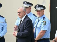 Leis sobre armas na mira enquanto Albanese sinaliza limites mais rígidos à propriedade Leis sobre armas na mira enquanto Albanese sinaliza limites mais rígidos à propriedade