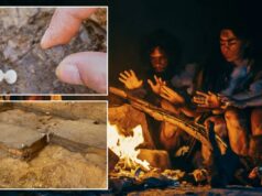 Linha do tempo da descoberta humana do fogo destruída com revelação de 400.000 anos Linha do tempo da descoberta humana do fogo destruída com revelação de 400.000 anos