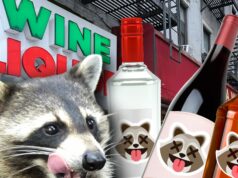 Loja de bebidas viral ‘Drunk Raccoon’ lança três coquetéis bebidas de licor de guaxinim getty comp 2