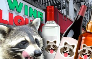 Loja de bebidas viral ‘Drunk Raccoon’ lança três coquetéis bebidas de licor de guaxinim getty comp 2
