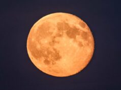 Lua cheia de dezembro de 2025: veja a superlua fria Lua cheia de dezembro de 2025: veja a superlua fria